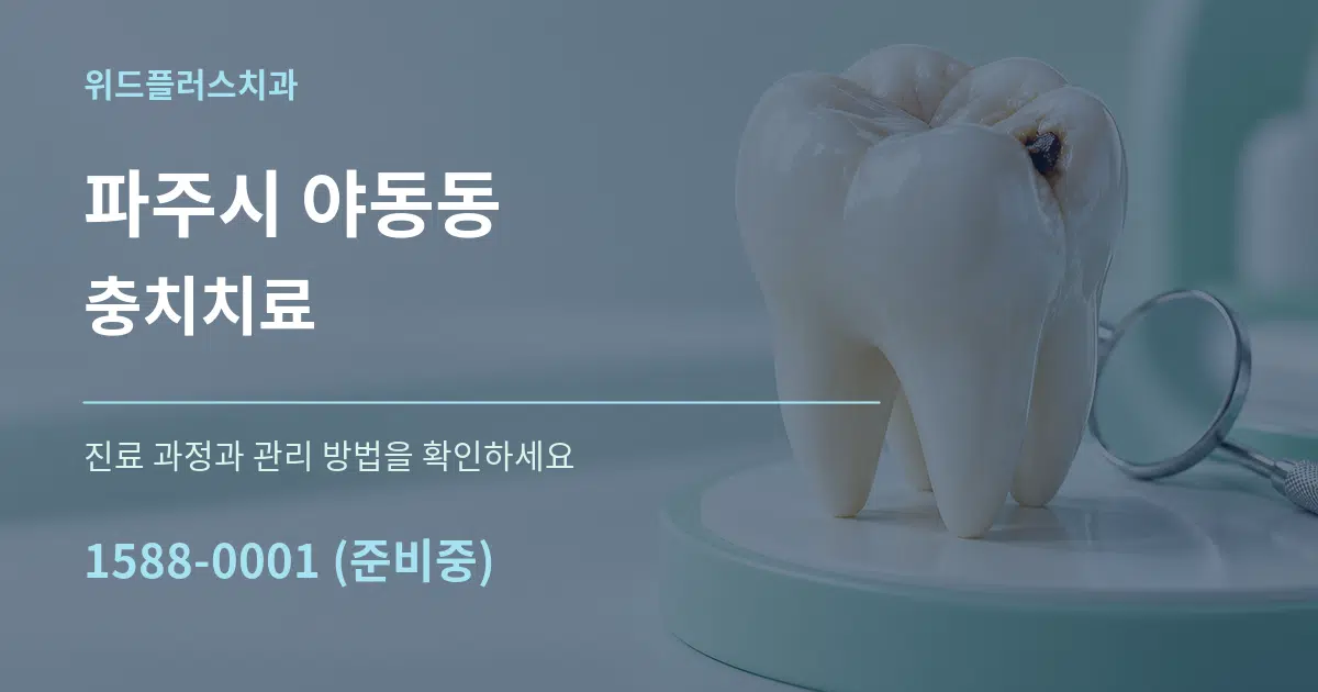 파주시 야동동 충치치료 서비스 이용 안내 그래픽