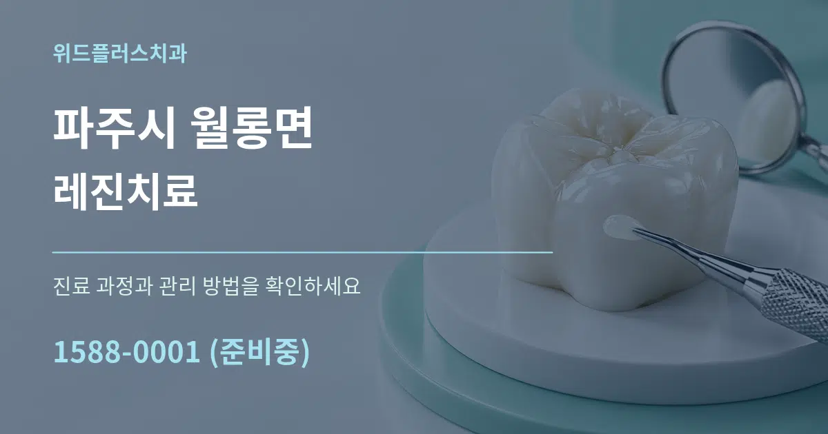 파주시 월롱면 레진치료 서비스 이용 안내 그래픽