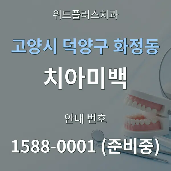 고양시 덕양구 화정동 치아미백 대표 안내 그래픽