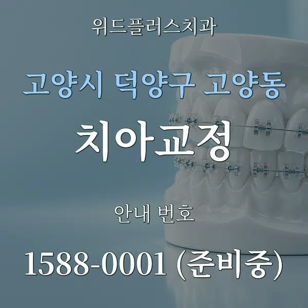 고양시 덕양구 고양동 치아교정 대표 안내 그래픽