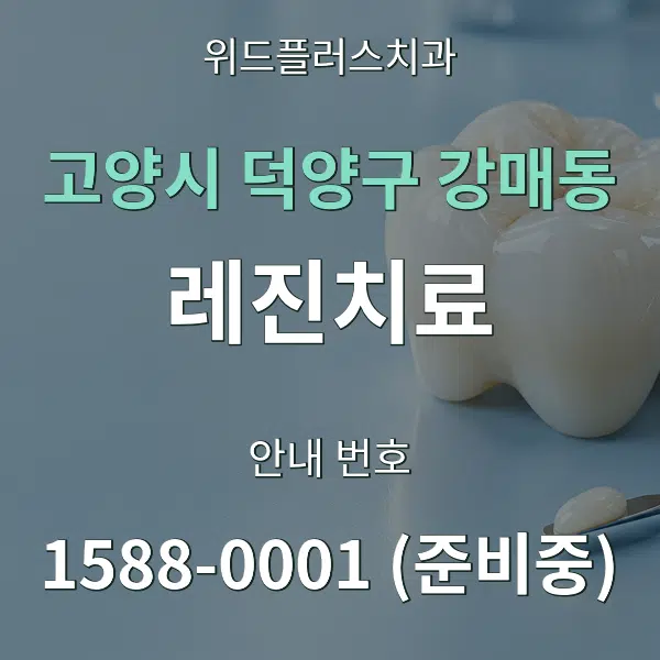 고양시 덕양구 강매동 레진치료 대표 안내 그래픽
