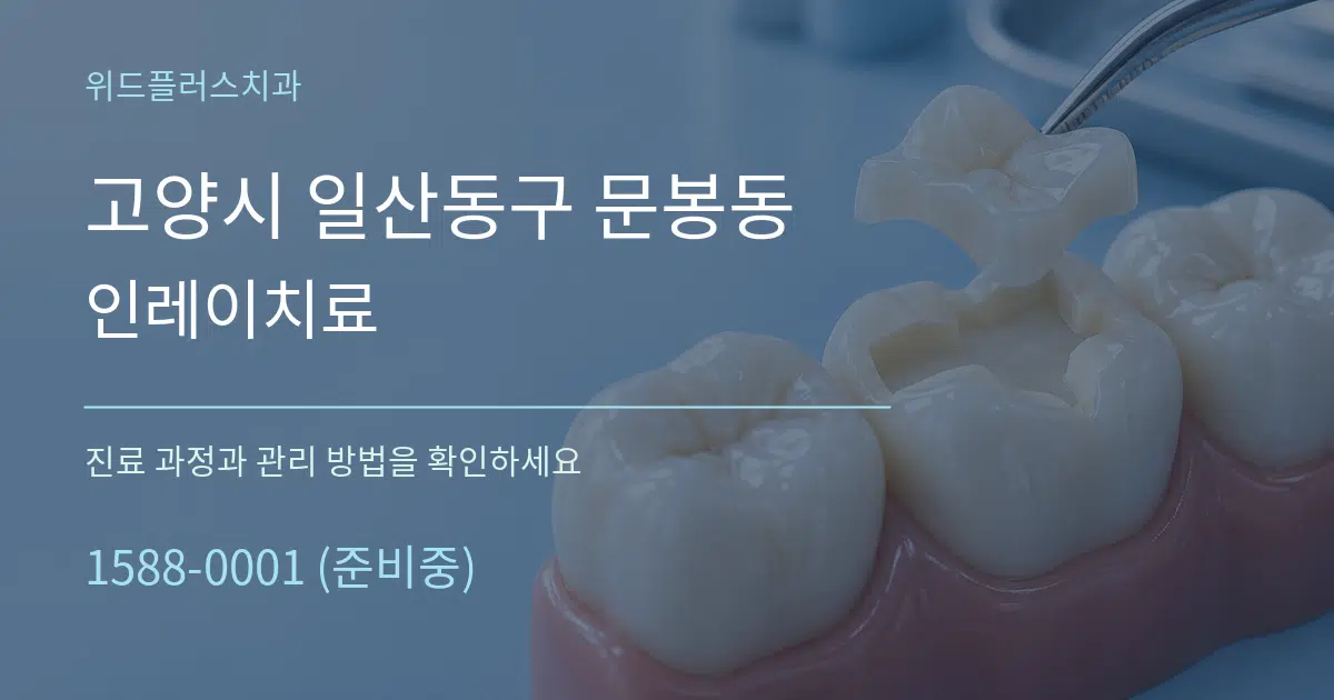 고양시 일산동구 문봉동 인레이치료 작업 조건 안내 그래픽