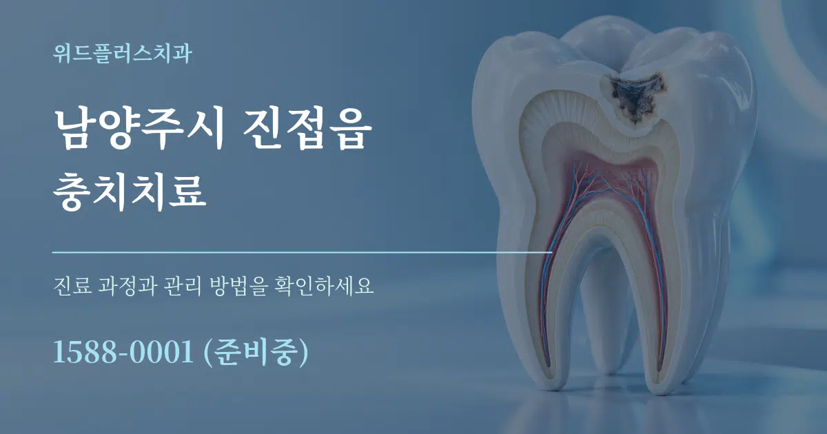 남양주시 진접읍 충치치료 서비스 이용 안내 그래픽