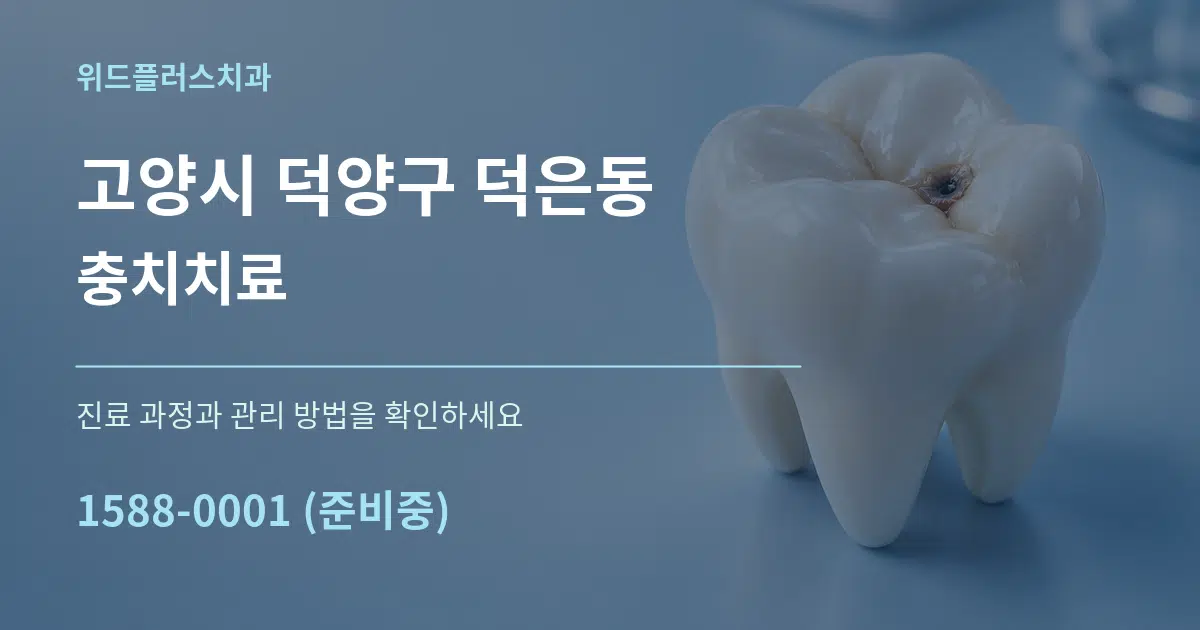 고양시 덕양구 덕은동 충치치료 서비스 이용 안내 그래픽
