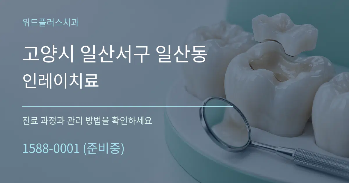 고양시 일산서구 일산동 인레이치료 작업 조건 안내 그래픽