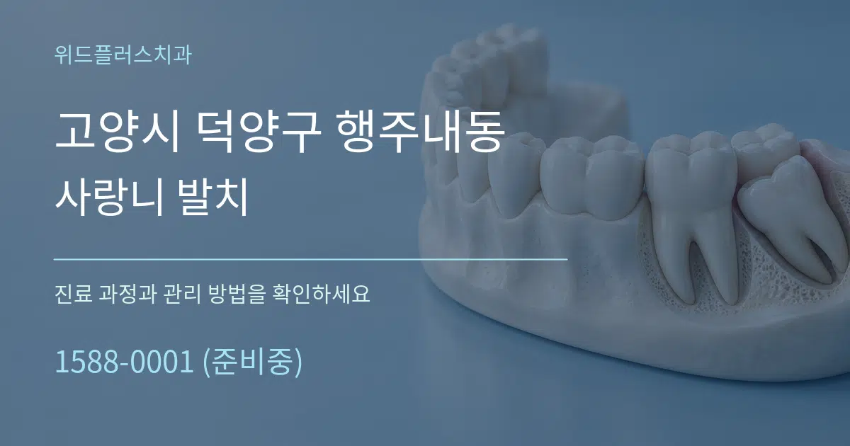 고양시 덕양구 행주내동 사랑니 발치 서비스 이용 안내 그래픽