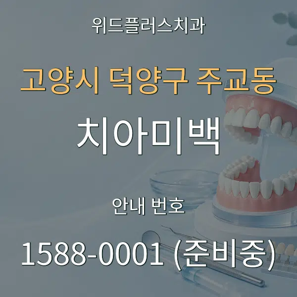고양시 덕양구 주교동 치아미백 대표 안내 그래픽