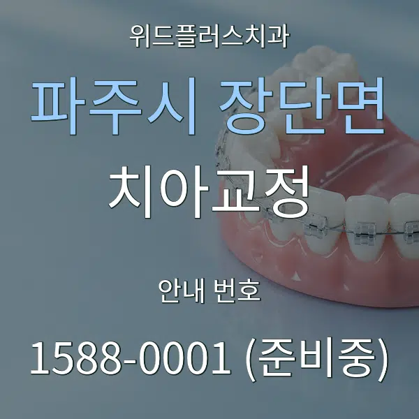 파주시 장단면 치아교정 대표 안내 그래픽