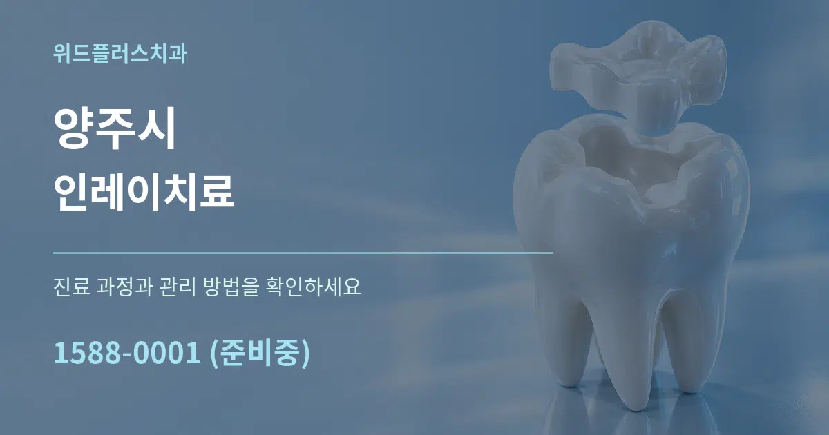 양주시 인레이치료 서비스 이용 안내 그래픽