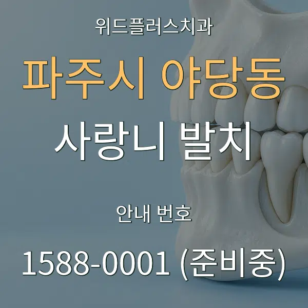 파주시 야당동 사랑니 발치 대표 안내 그래픽
