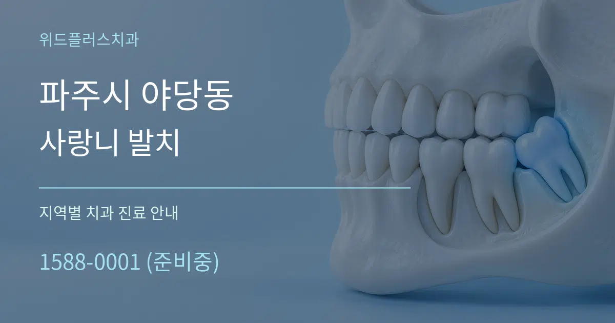 파주시 야당동 사랑니 발치 대표 안내 그래픽