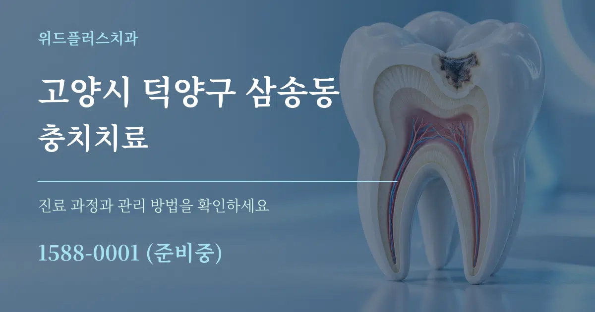 고양시 덕양구 삼송동 충치치료 서비스 이용 안내 그래픽