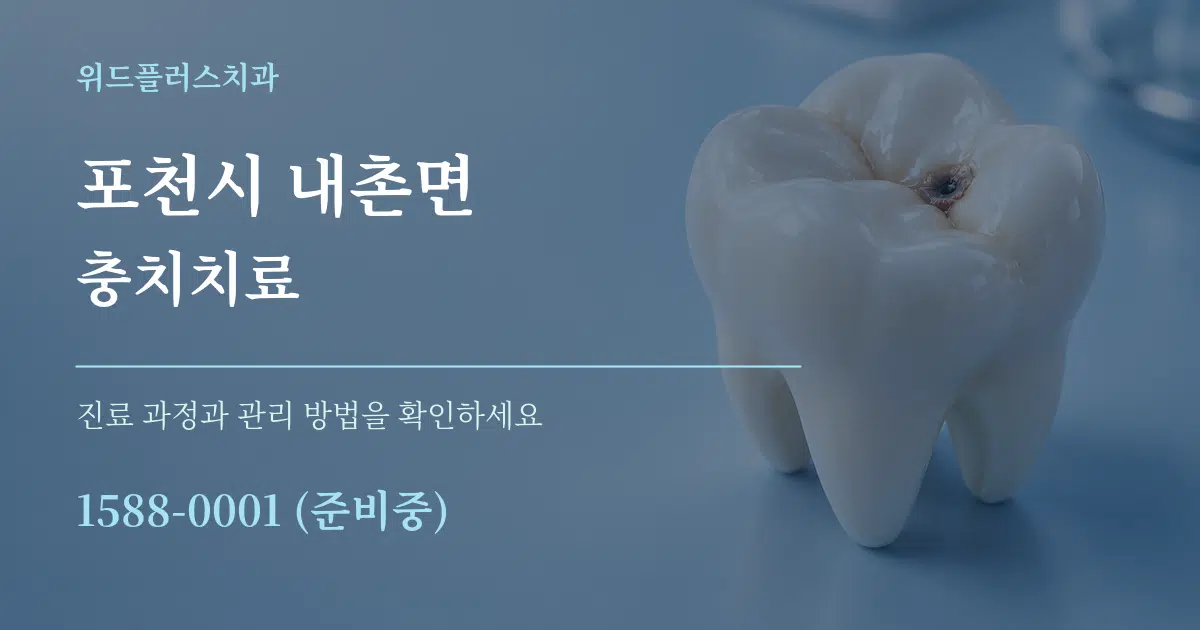 포천시 내촌면 충치치료 서비스 이용 안내 그래픽