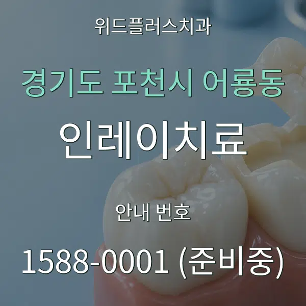 경기도 포천시 어룡동 인레이치료 대표 안내 그래픽