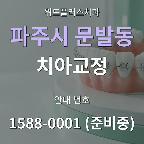 파주시 문발동 치아교정 대표 안내 그래픽