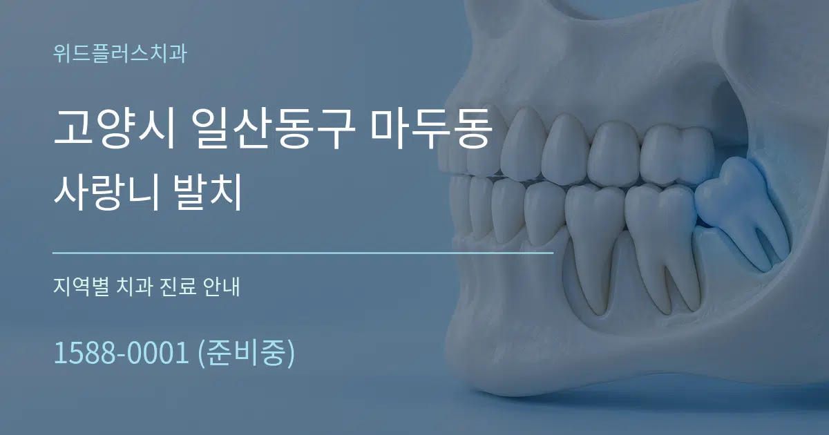 고양시 일산동구 마두동 사랑니 발치 대표 안내 그래픽