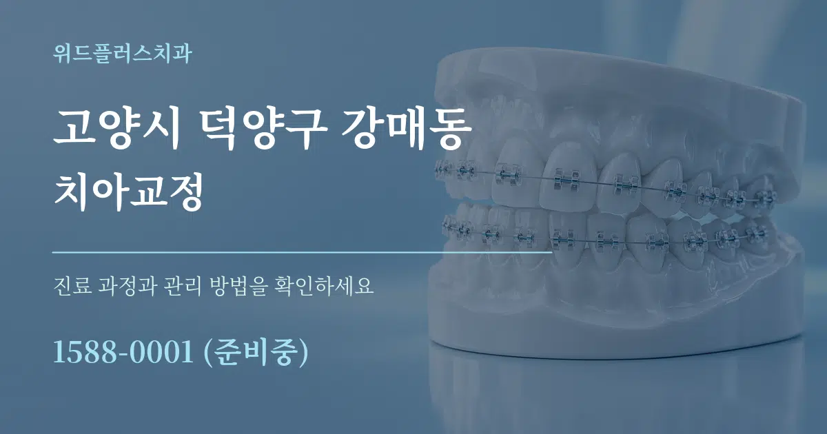 고양시 덕양구 강매동 치아교정 작업 조건 안내 그래픽