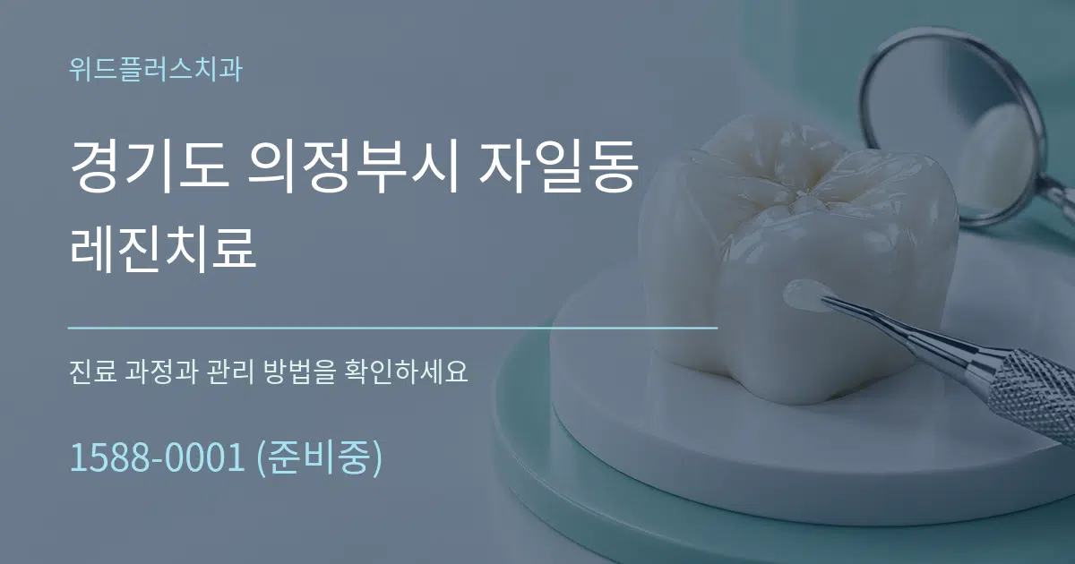 경기도 의정부시 자일동 레진치료 서비스 이용 안내 그래픽