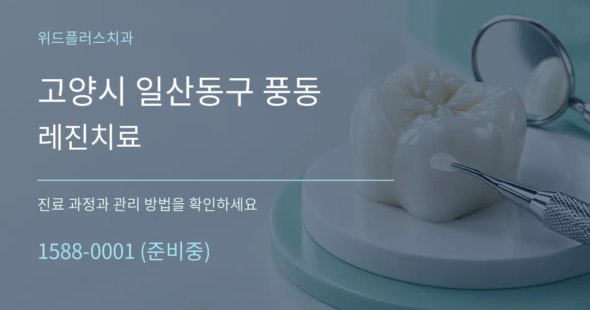 고양시 일산동구 풍동 레진치료 서비스 이용 안내 그래픽