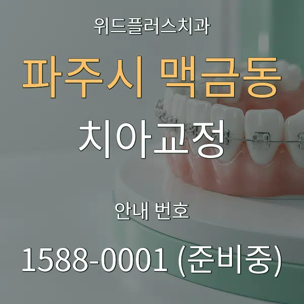 파주시 맥금동 치아교정 대표 안내 그래픽