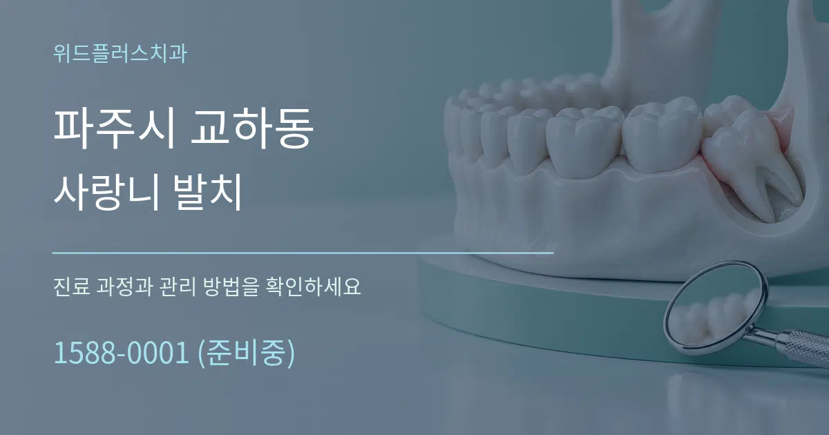 파주시 교하동 사랑니 발치 서비스 이용 안내 그래픽