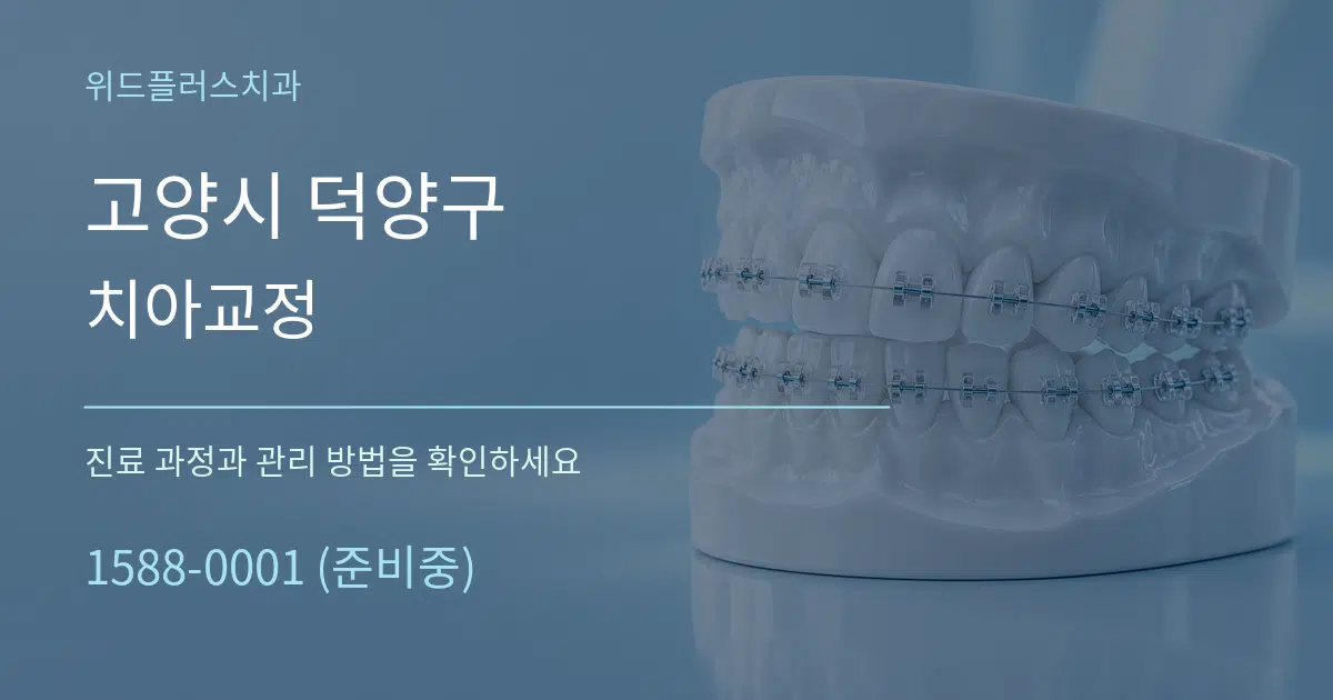 고양시 덕양구 치아교정 작업 조건 안내 그래픽