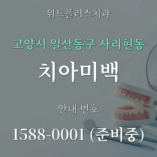 고양시 일산동구 사리현동 치아미백 대표 안내 그래픽
