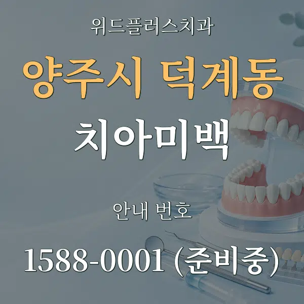 양주시 덕계동 치아미백 대표 안내 그래픽