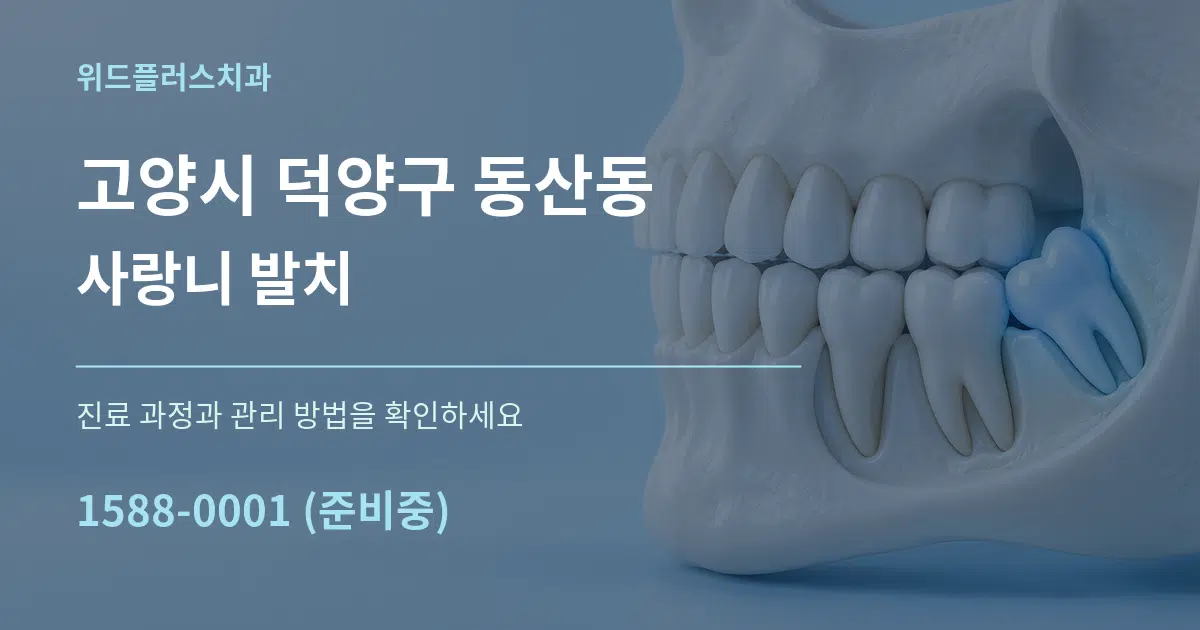 고양시 덕양구 동산동 사랑니 발치 작업 조건 안내 그래픽