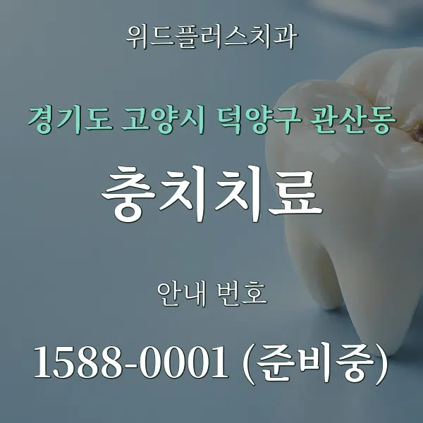 경기도 고양시 덕양구 관산동 충치치료 대표 안내 그래픽