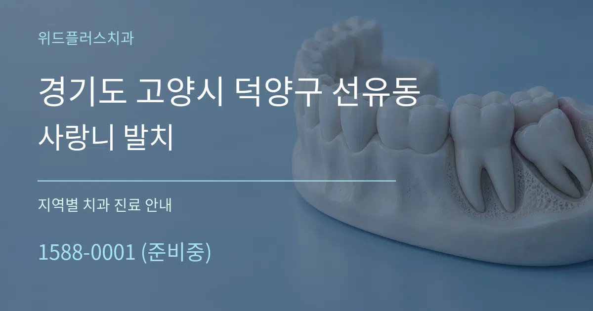 경기도 고양시 덕양구 선유동 사랑니 발치 대표 안내 그래픽