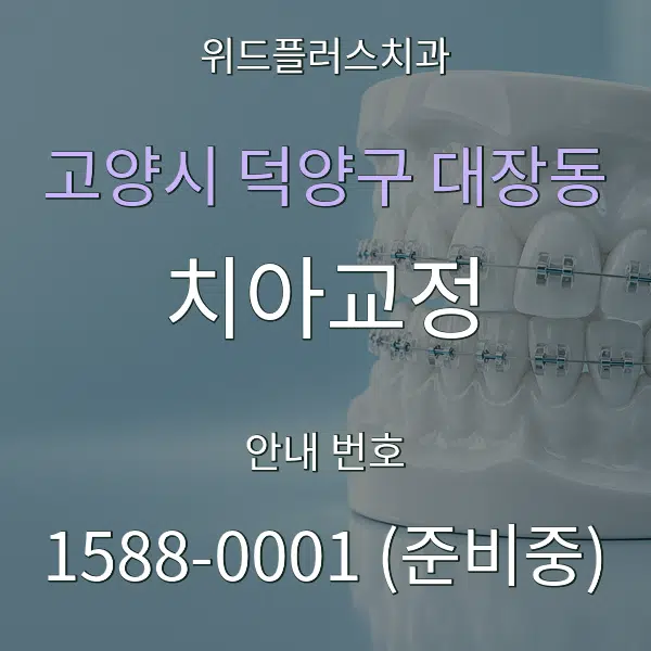 고양시 덕양구 대장동 치아교정 대표 안내 그래픽
