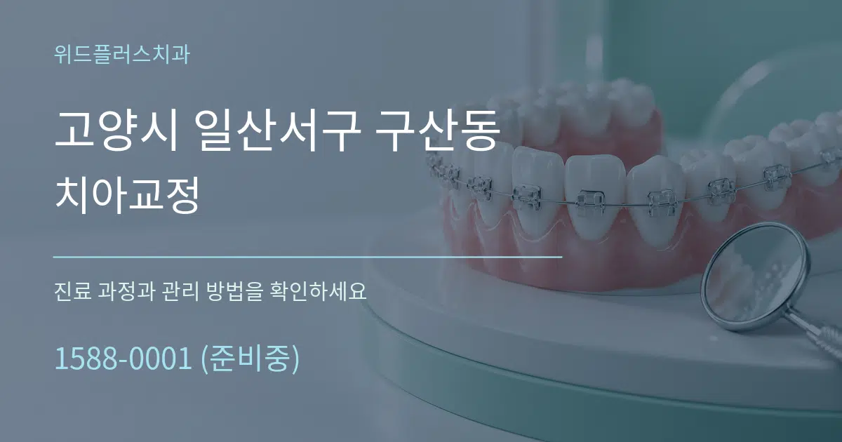 고양시 일산서구 구산동 치아교정 작업 조건 안내 그래픽