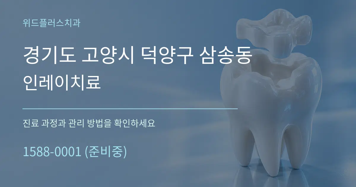 경기도 고양시 덕양구 삼송동 인레이치료 서비스 이용 안내 그래픽
