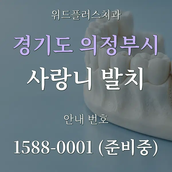 경기도 의정부시 사랑니 발치 대표 안내 그래픽