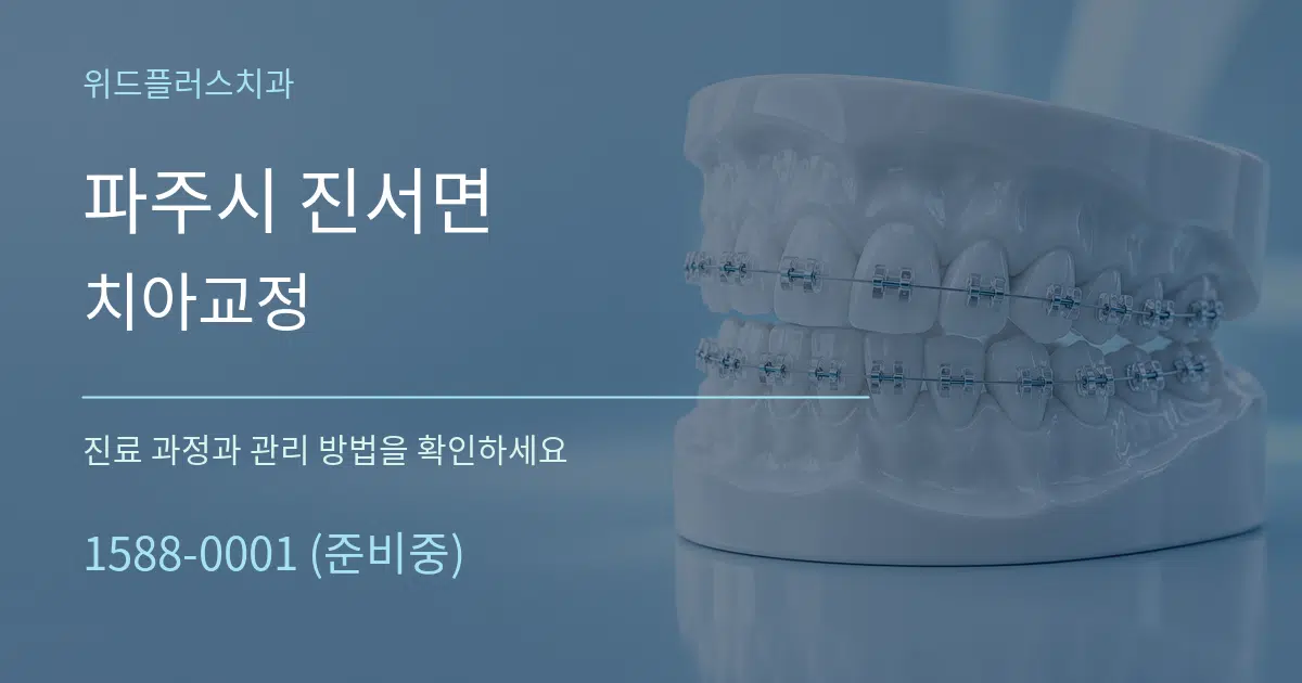 파주시 진서면 치아교정 서비스 이용 안내 그래픽