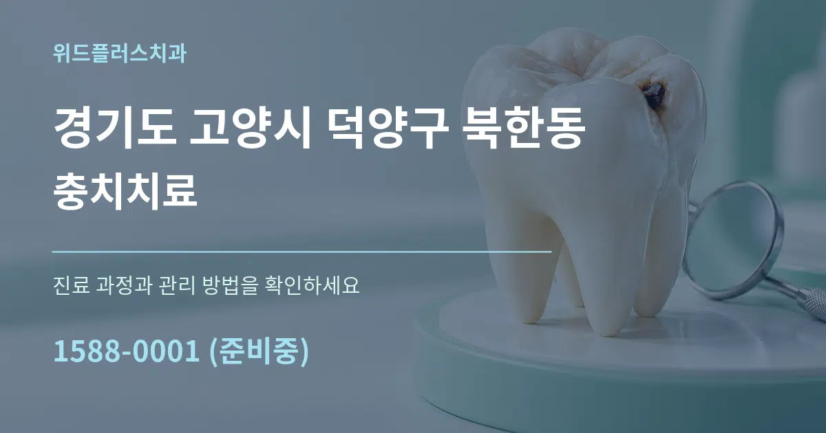 경기도 고양시 덕양구 북한동 충치치료 작업 조건 안내 그래픽