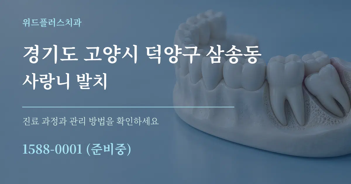경기도 고양시 덕양구 삼송동 사랑니 발치 작업 조건 안내 그래픽