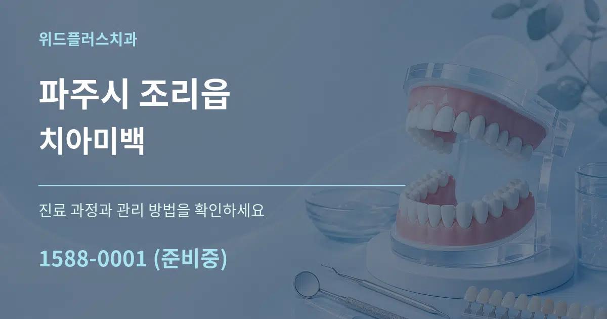 파주시 조리읍 치아미백 서비스 이용 안내 그래픽