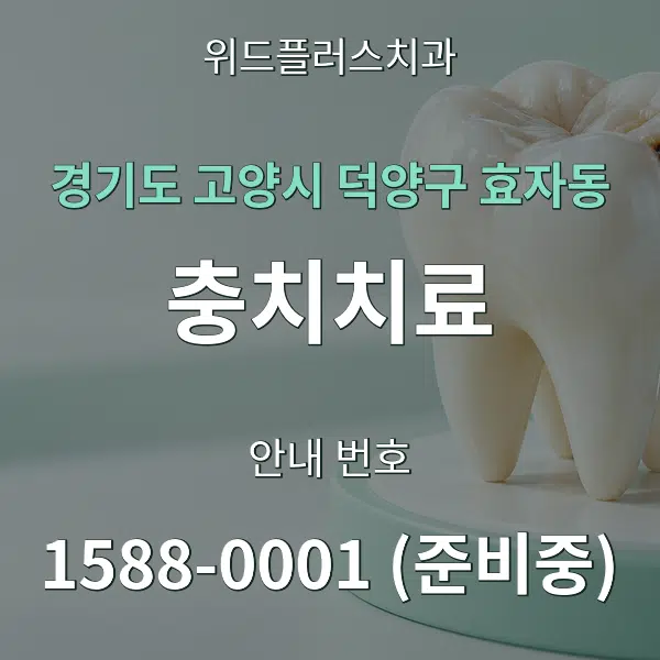 경기도 고양시 덕양구 효자동 충치치료 대표 안내 그래픽