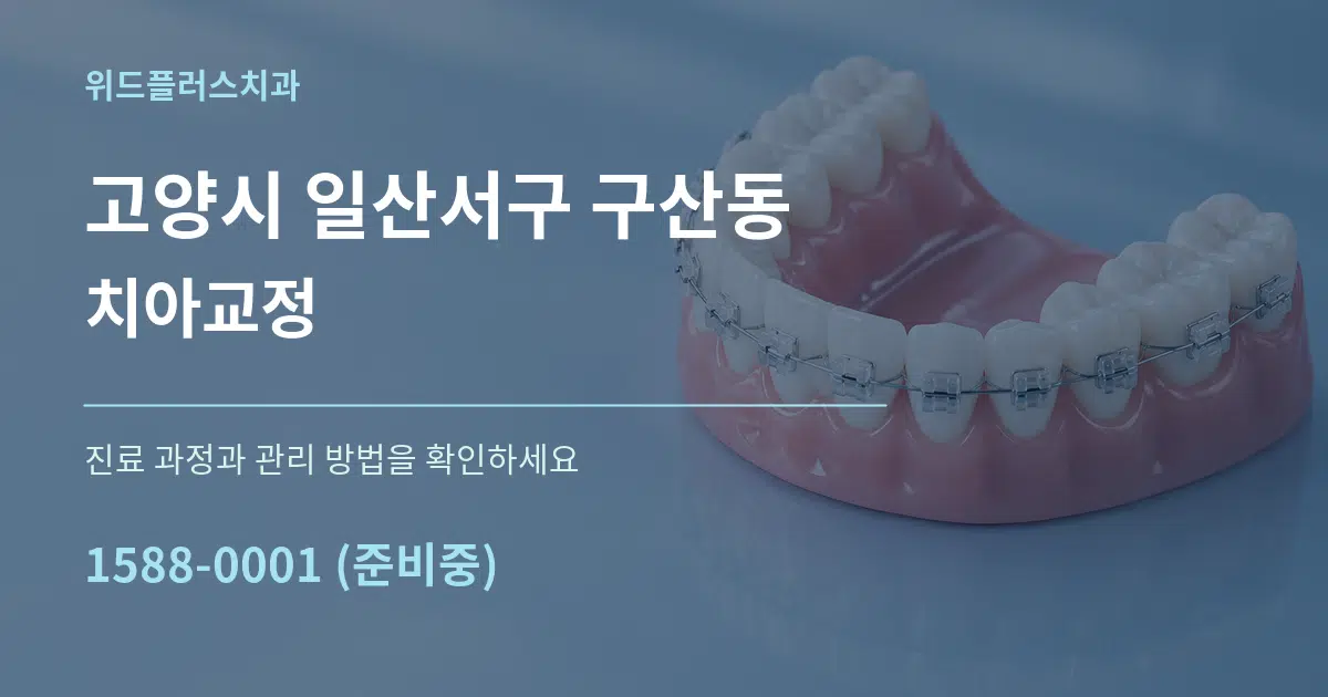 고양시 일산서구 구산동 치아교정 서비스 이용 안내 그래픽