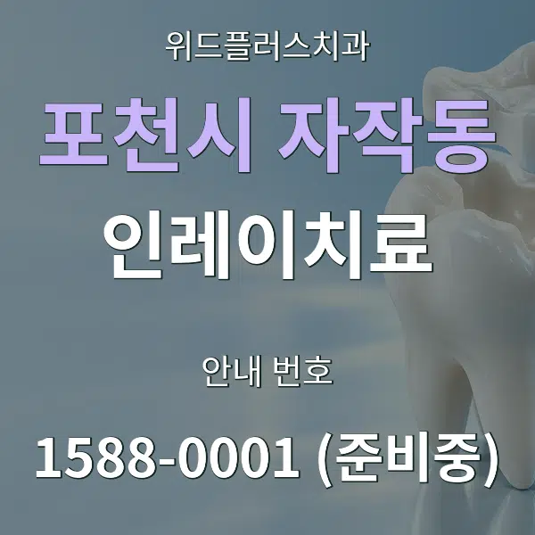 포천시 자작동 인레이치료 대표 안내 그래픽