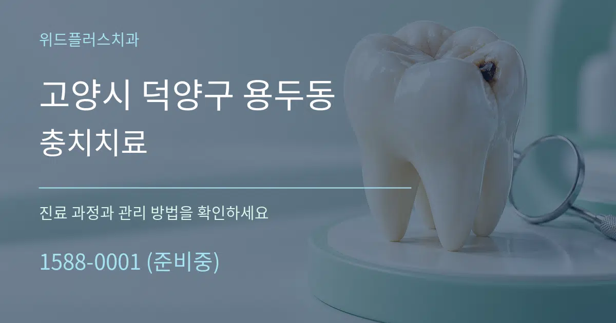 고양시 덕양구 용두동 충치치료 작업 조건 안내 그래픽