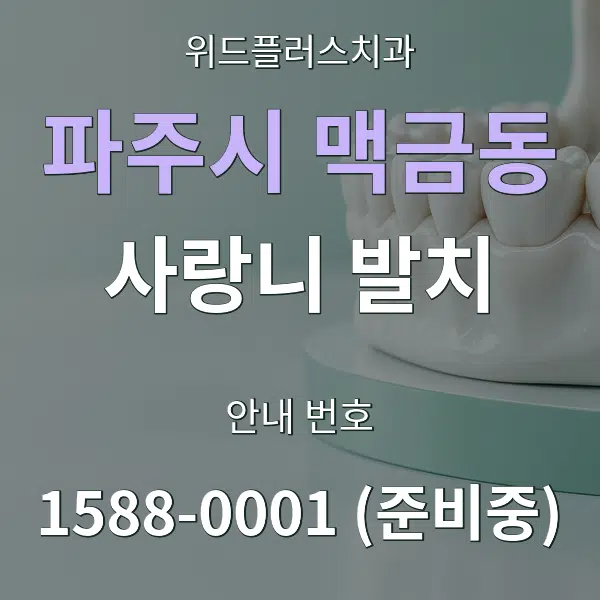 파주시 맥금동 사랑니 발치 대표 안내 그래픽