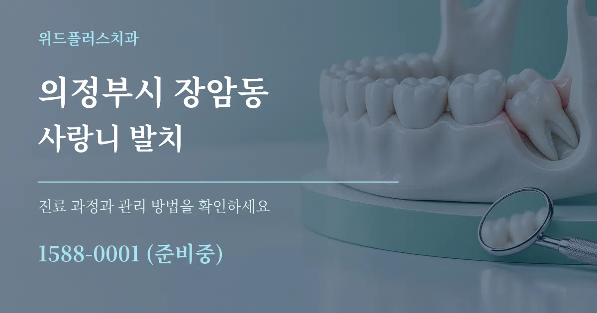 의정부시 장암동 사랑니 발치 작업 조건 안내 그래픽
