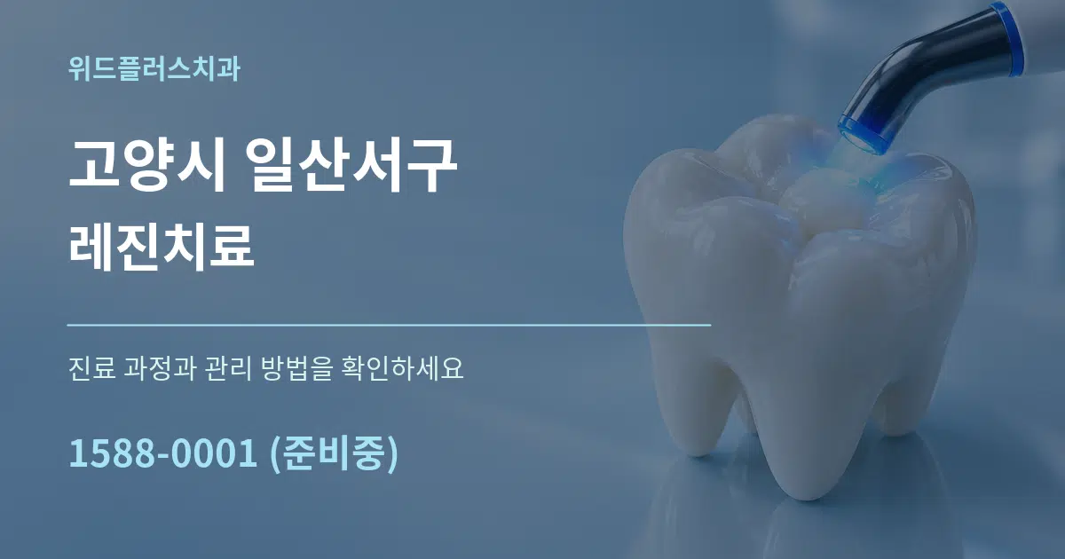 고양시 일산서구 레진치료 서비스 이용 안내 그래픽