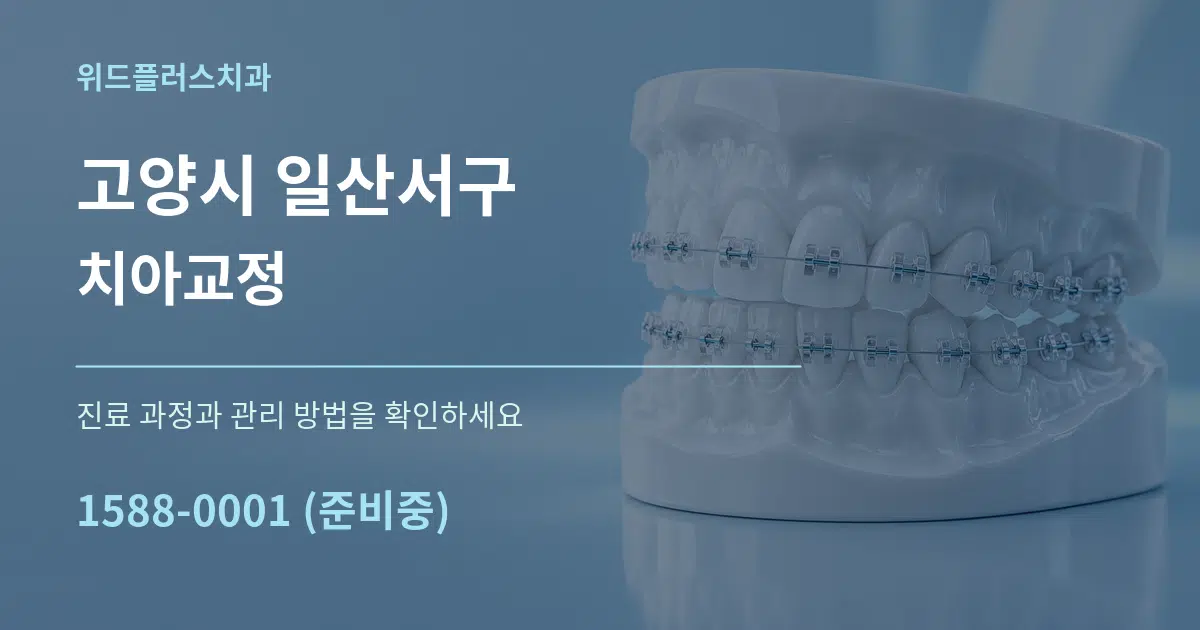 고양시 일산서구 치아교정 서비스 이용 안내 그래픽
