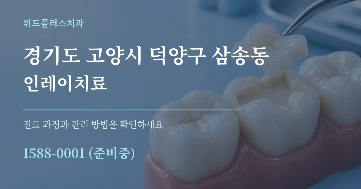 경기도 고양시 덕양구 삼송동 인레이치료 작업 조건 안내 그래픽