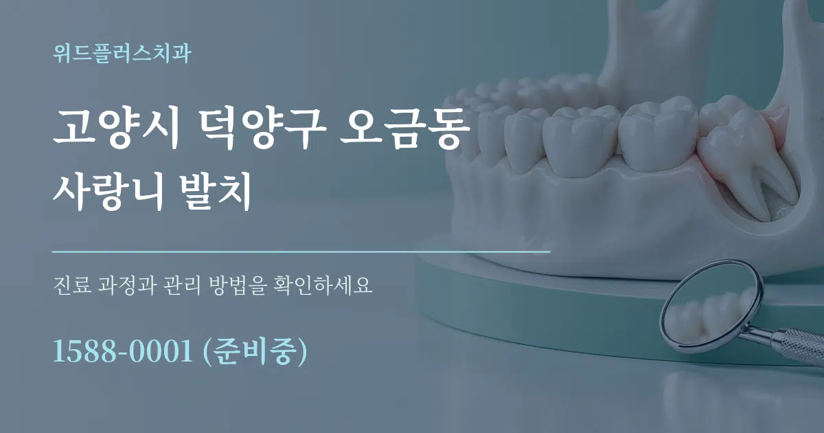 고양시 덕양구 오금동 사랑니 발치 작업 조건 안내 그래픽