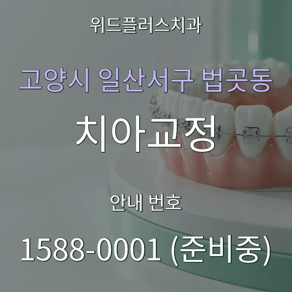 고양시 일산서구 법곳동 치아교정 대표 안내 그래픽